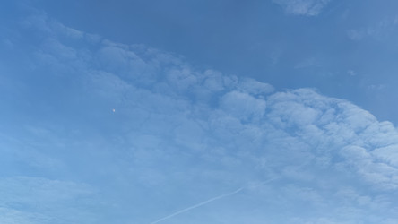 Similar image 21823306