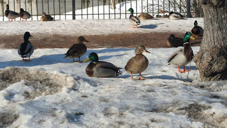 Similar image 21823307