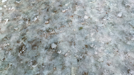 Similar image 21823319