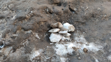 Similar image 21823323