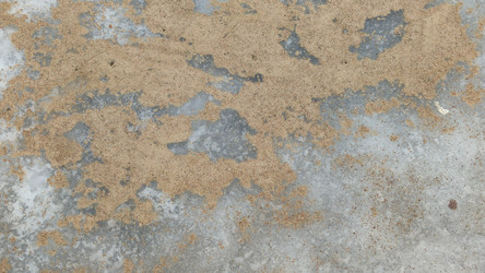 Similar image 21823335