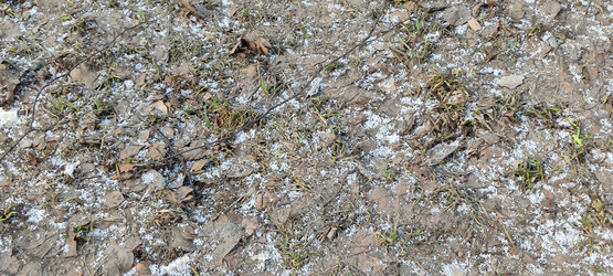 Similar image 21823337