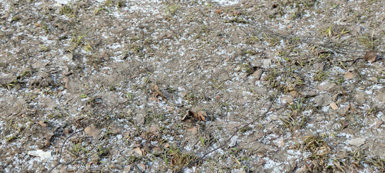 Similar image 21823339