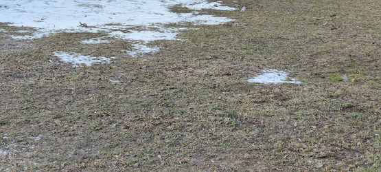 Similar image 21823341