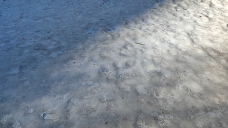 Similar image 21823346