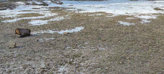 Similar image 21823353