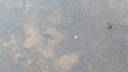 Similar image 21823360