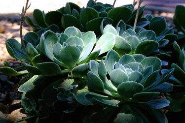 Similar image 21822583