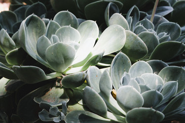 Similar image 21822585