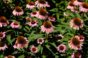 Similar image 21822589