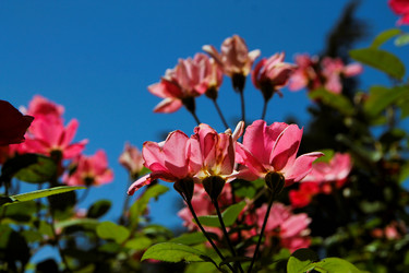 Similar image 21822590