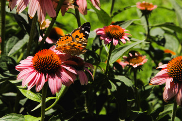 Similar image 21822591