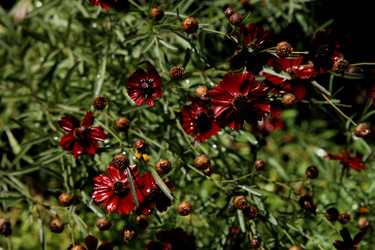 Similar image 21822593