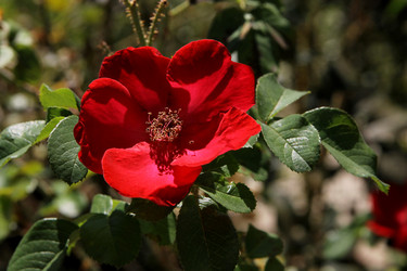 Similar image 21822594