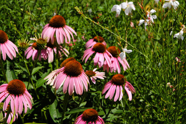 Similar image 21822597