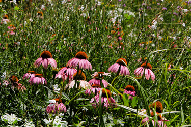 Similar image 21822598