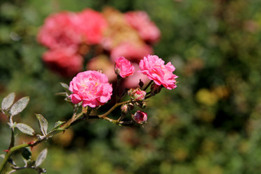 Similar image 21822599