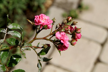 Similar image 21822600