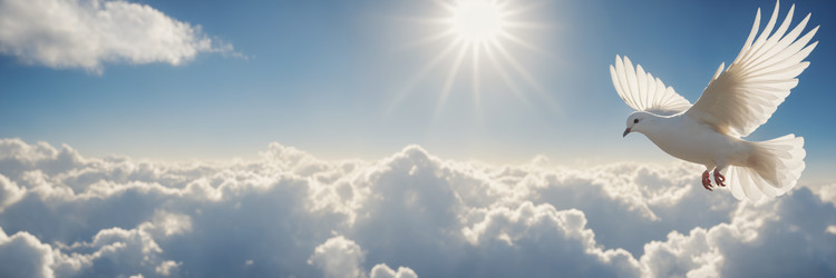 Similar image 21824893