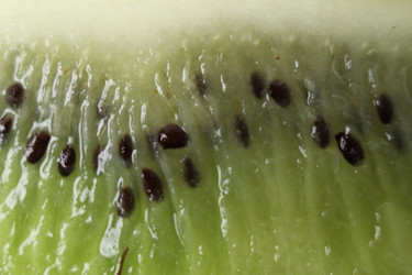 Similar image 21816082