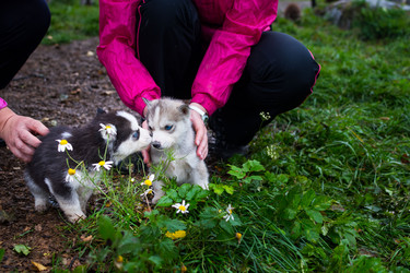 Similar image 21826472