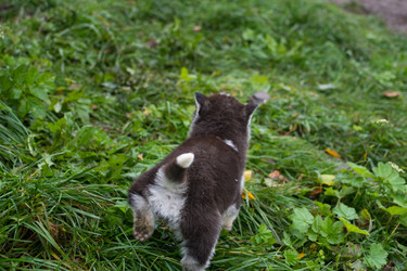 Similar image 21826475