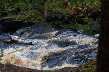 Similar image 21826476