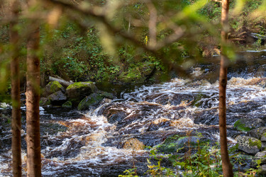 Similar image 21826479