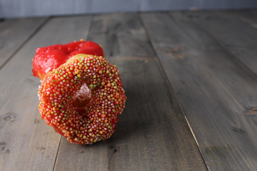 Similar image 21816096