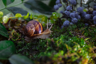 Similar image 21819753