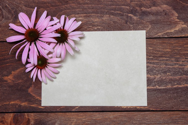 Similar image 21819756