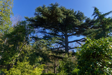 Similar image 21814445