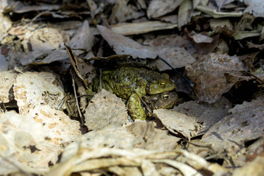 Similar image 21814449