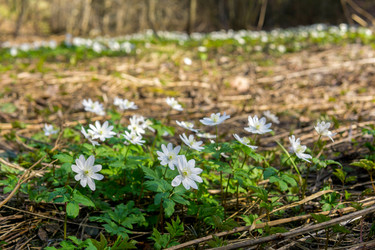 Similar image 21814450