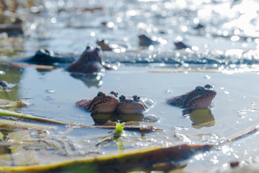 Similar image 21814453