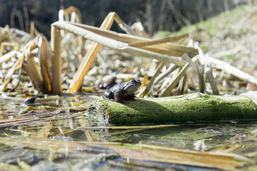 Similar image 21814454