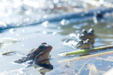 Similar image 21814457