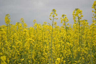 Similar image 21822451