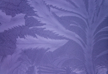 Similar image 21814459