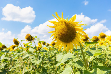 Similar image 21814468