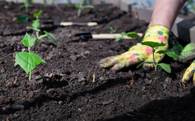 Similar image 21816130