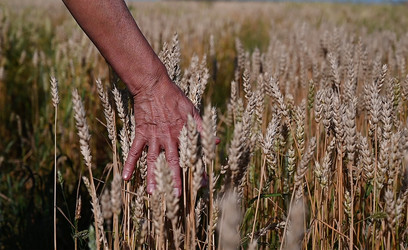 Similar image 21816132