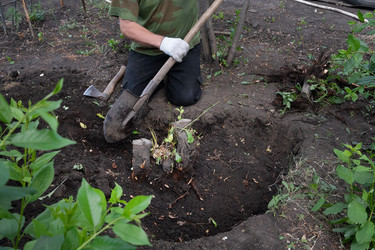 Similar image 21816134