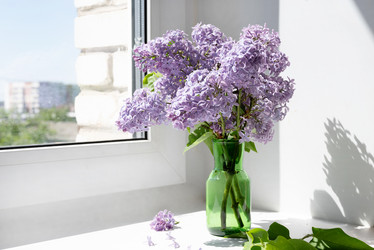 Similar image 21816140