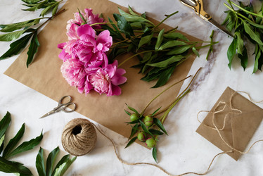 Similar image 21816145