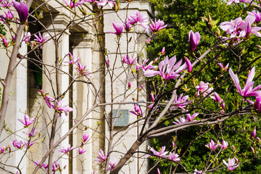 Similar image 21814475