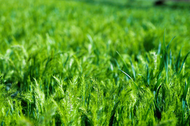 Similar image 21816146