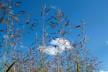 Similar image 21816147