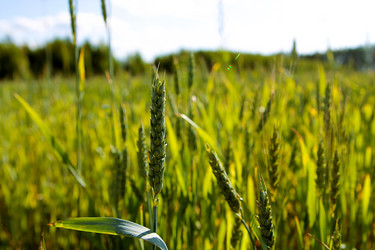 Similar image 21816148