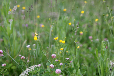 Similar image 21816149